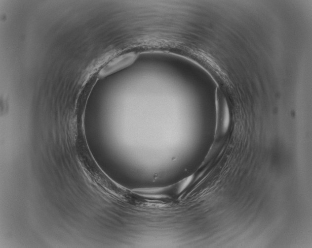 X0000067830488200604131204