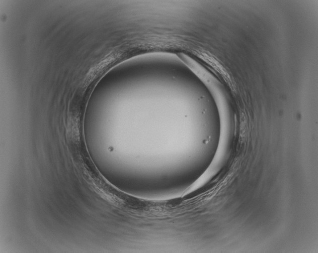 X0000067830489200604131204