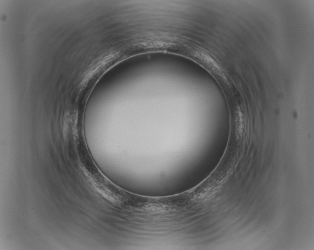 X0000067830490200604131204