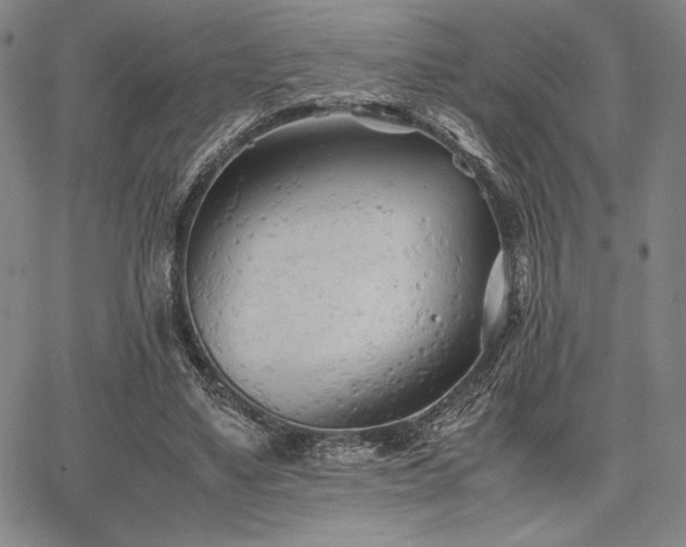 X0000067830491200604131204