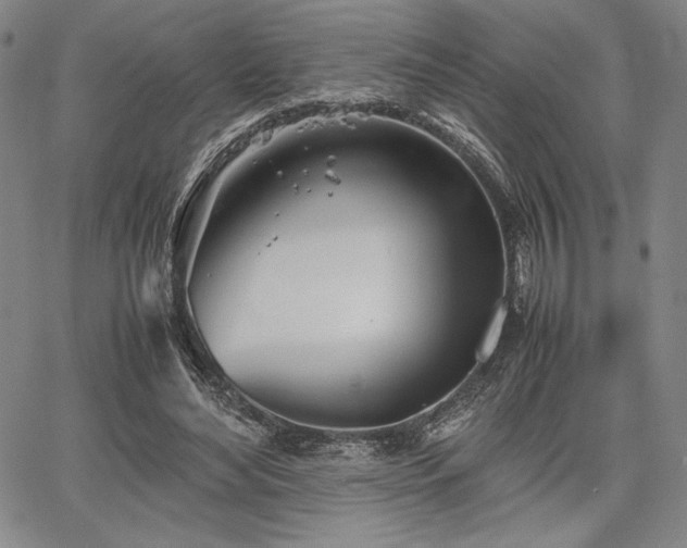 X0000067830492200604131204