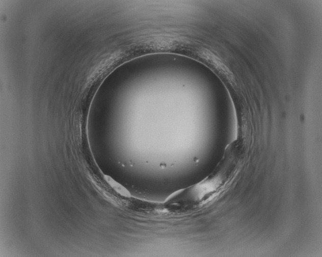 X0000067830493200604131204