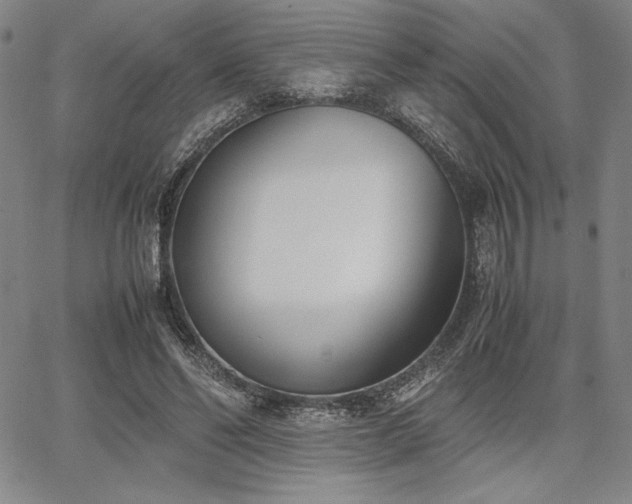 X0000067830494200604131204