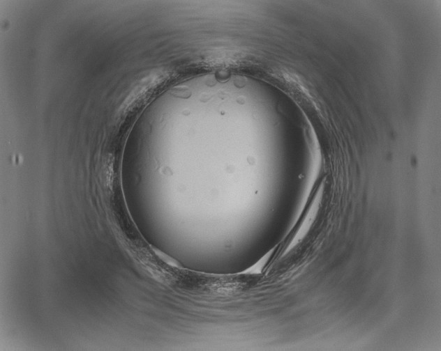 X0000067830495200604131204