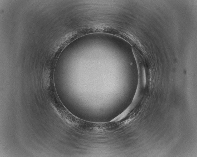 X0000067830496200604131204