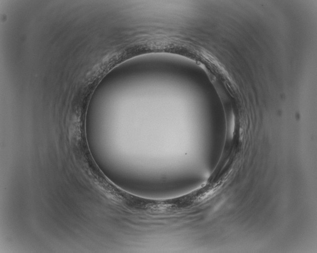 X0000067830497200604131204