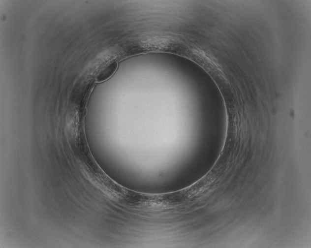 X0000067830498200604131204