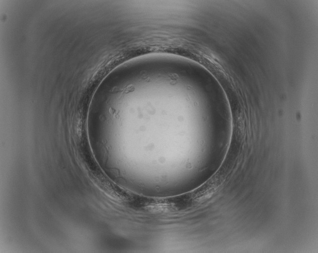 X0000067830499200604131204