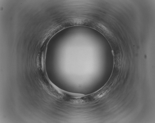 X0000067830500200604131204