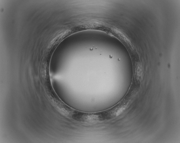 X0000067830501200604131204