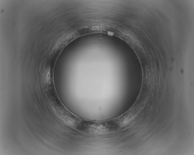 X0000067830502200604131204