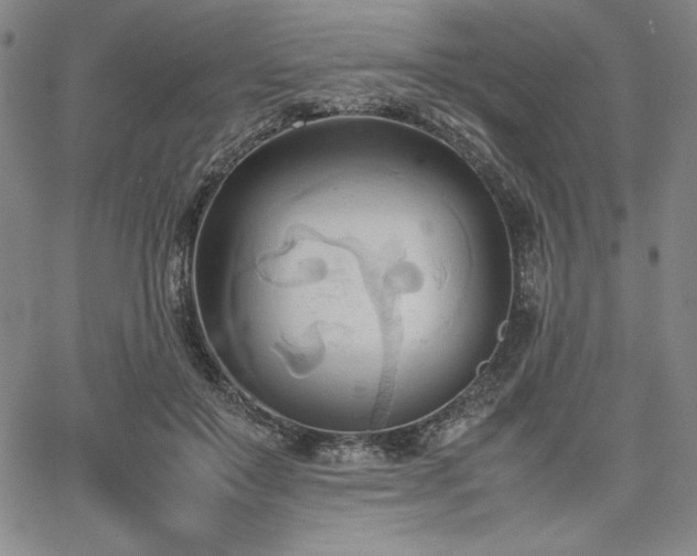 X0000067830503200604131204