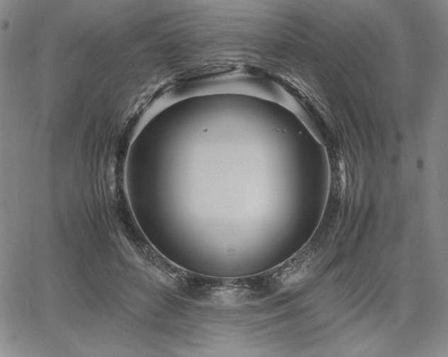 X0000067830504200604131204