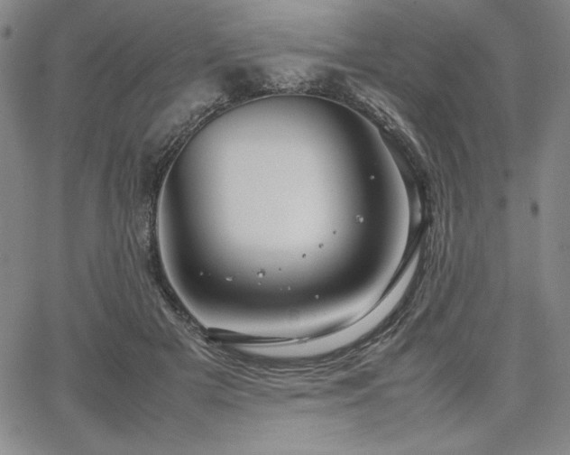 X0000067830505200604131204