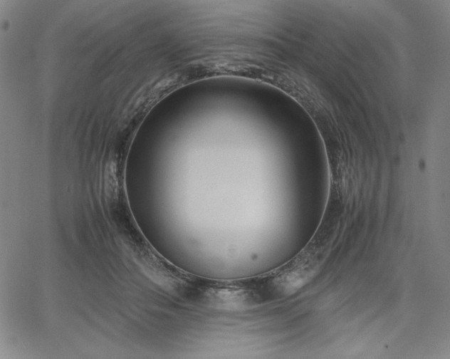 X0000067830506200604131204