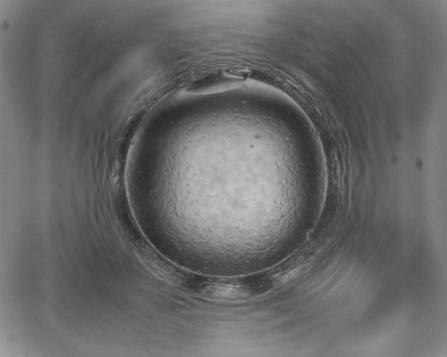 X0000067830507200604131204