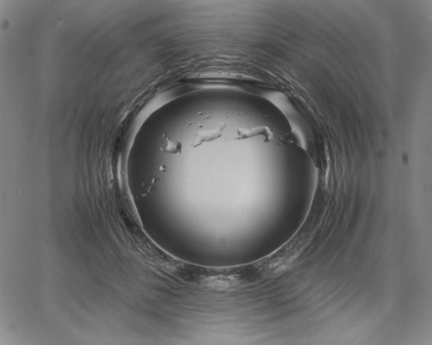 X0000067830508200604131204