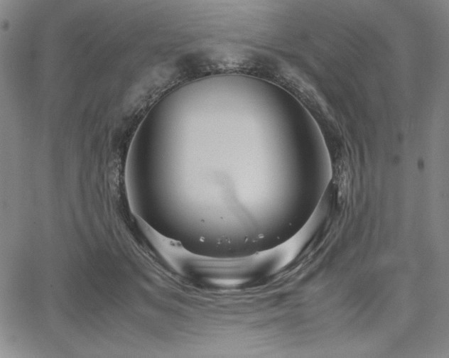 X0000067830509200604131204