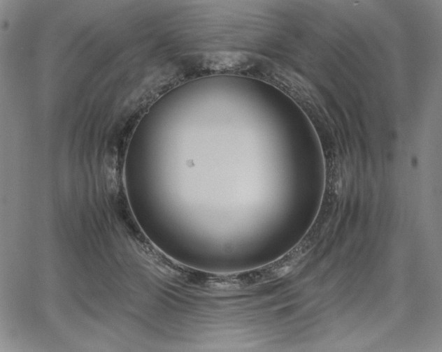 X0000067830510200604131204