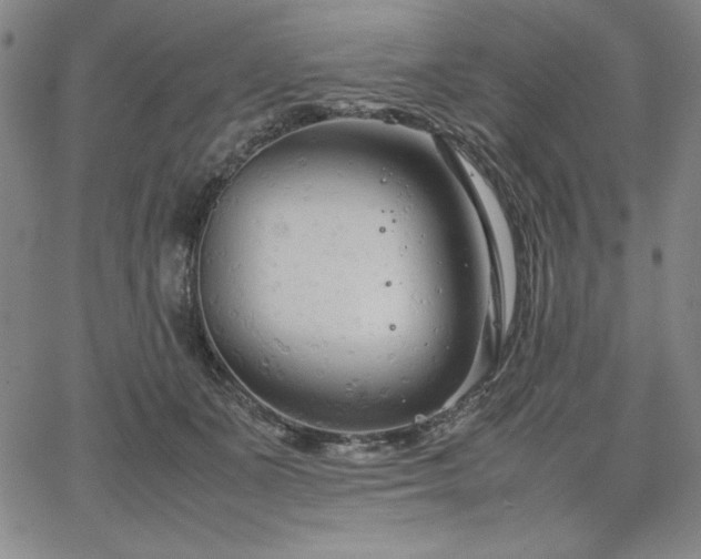 X0000067830511200604131204