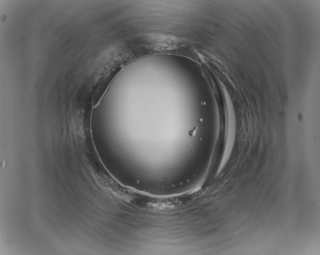 X0000067830512200604131204