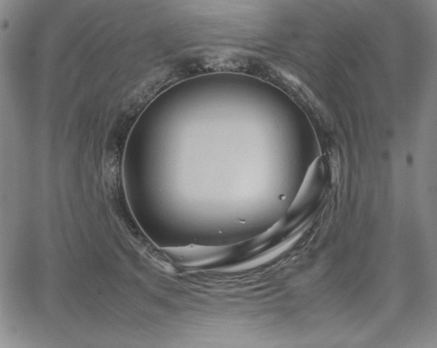 X0000067830513200604131204