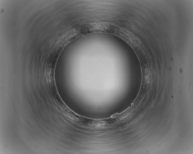 X0000067830514200604131204