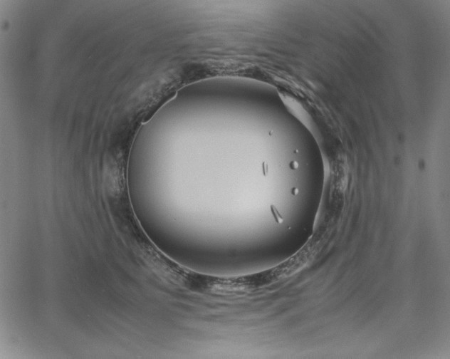 X0000067830515200604131204