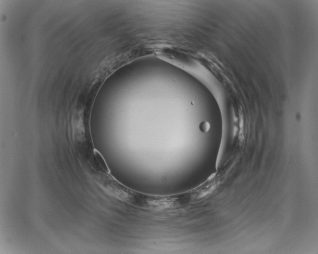 X0000067830516200604131204