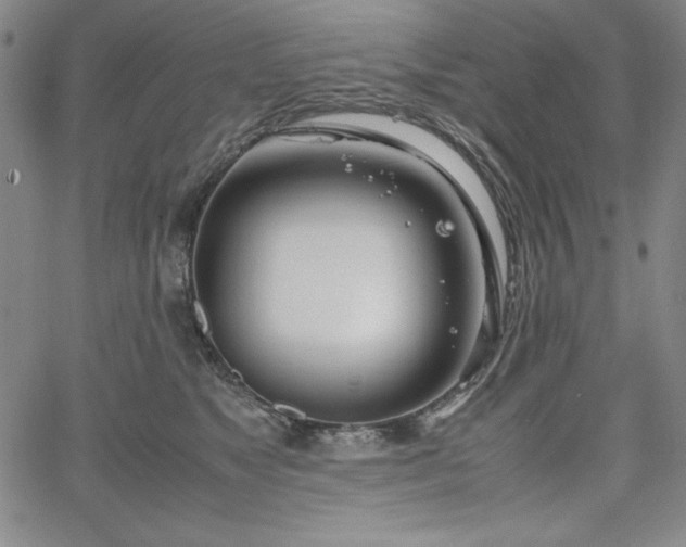 X0000067830517200604131204