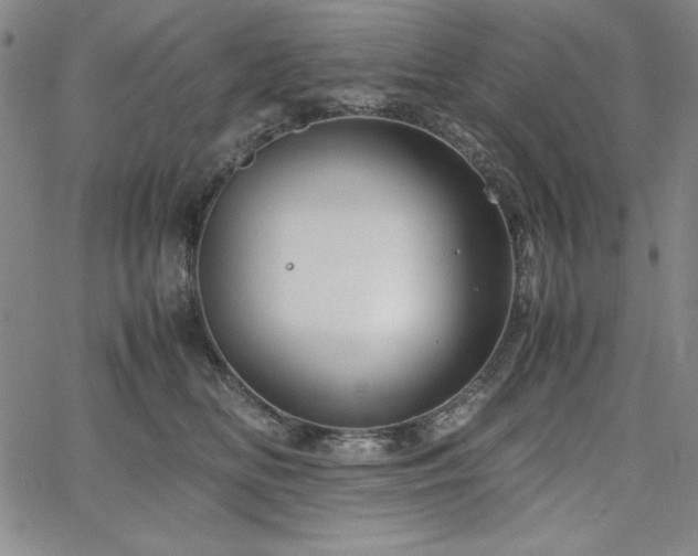 X0000067830518200604131204