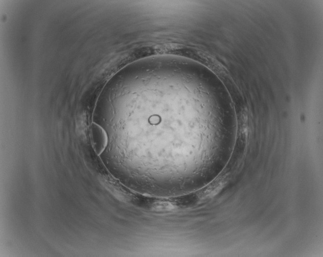 X0000067830519200604131204