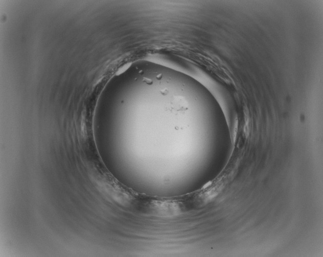 X0000067830520200604131204