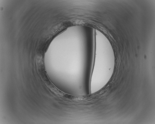 X0000067830521200604131204