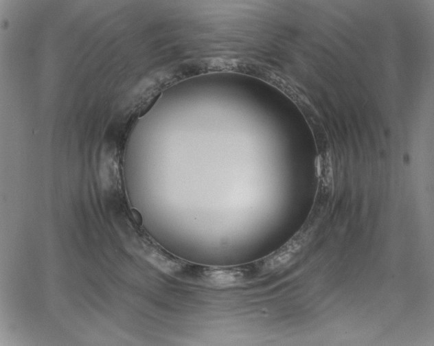 X0000067830522200604131204