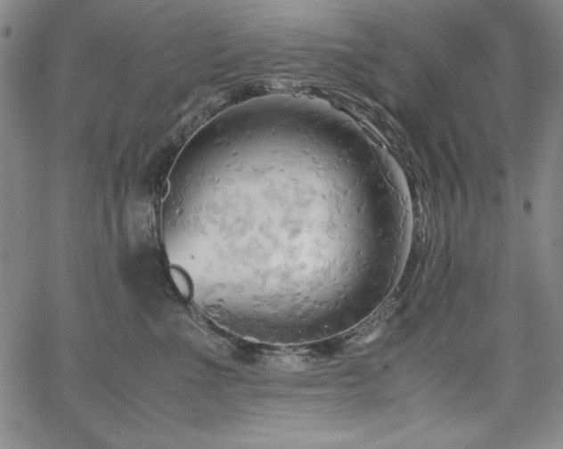 X0000067830523200604131204