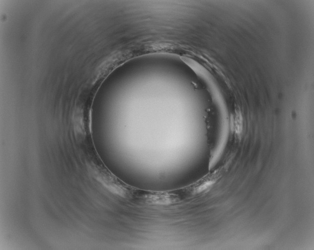 X0000067830524200604131204