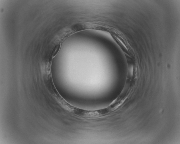 X0000067830525200604131204