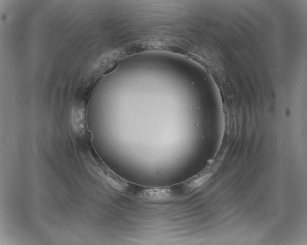 X0000067830526200604131204