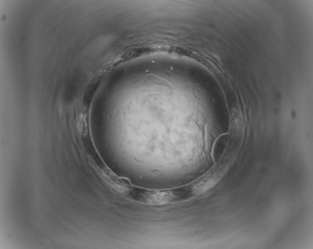 X0000067830527200604131204