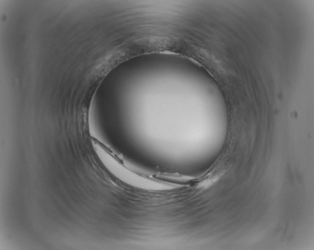 X0000067830528200604131204