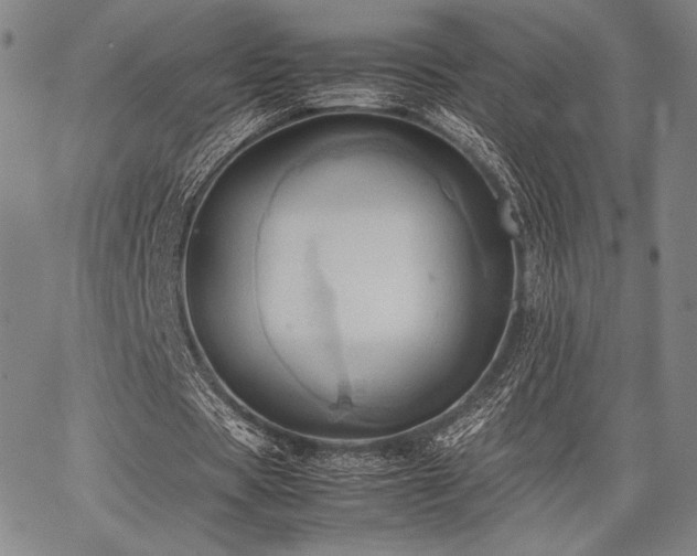 X0000067830529200604131203