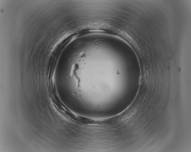 X0000067830530200604131203