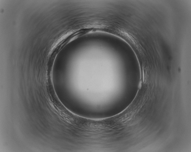 X0000067830531200604131203