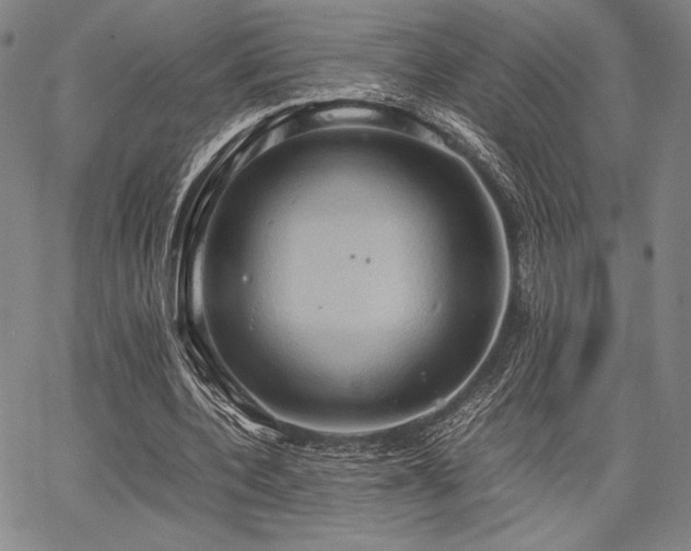 X0000067830532200604131203