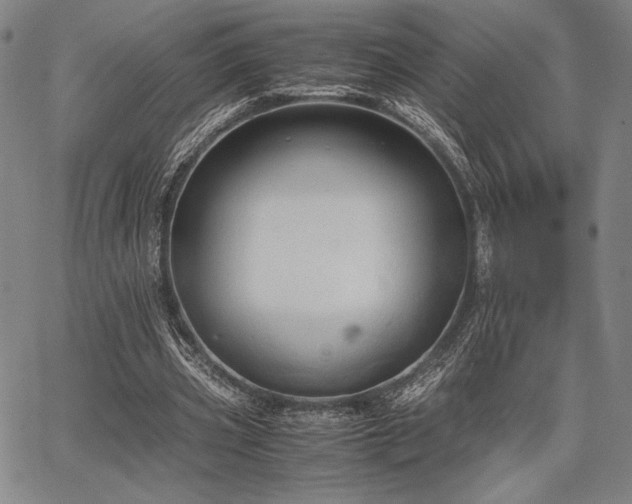 X0000067830533200604131203