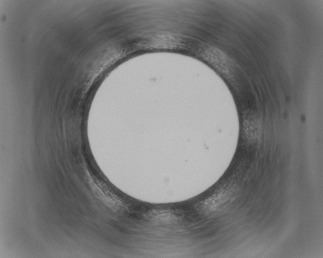 X0000067830534200604131203