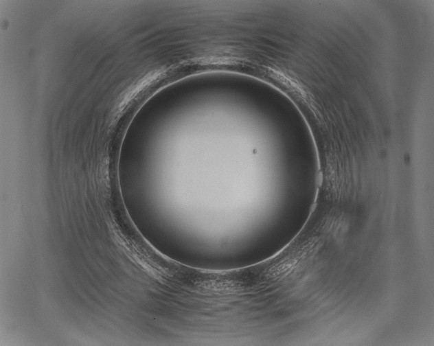 X0000067830535200604131203