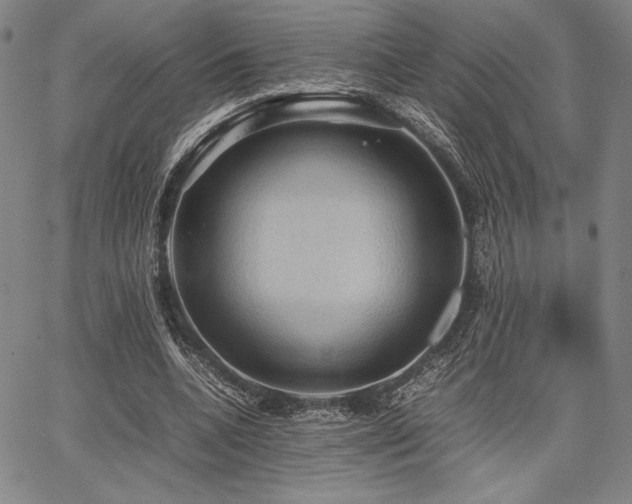 X0000067830536200604131203