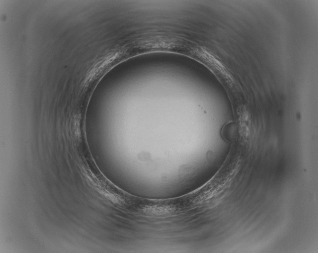 X0000067830537200604131203